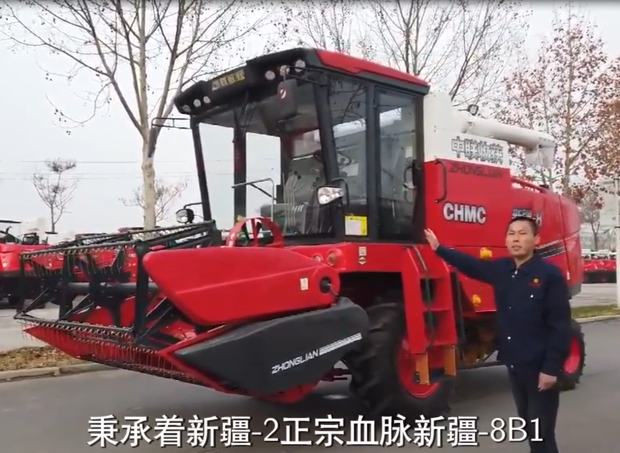 讲解 小麦