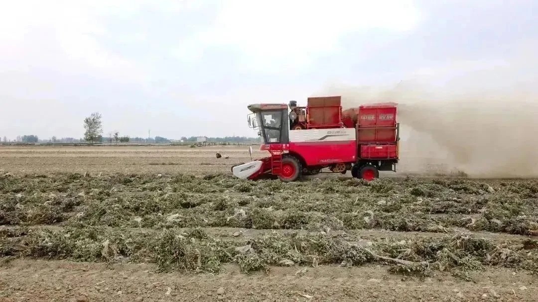 微信图片_2026-05-13_175506_641_看图王.jpg